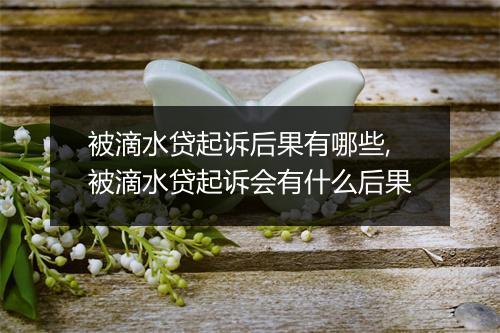 被滴水贷起诉后果有哪些,被滴水贷起诉会有什么后果