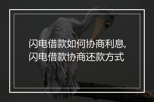 闪电借款如何协商利息,闪电借款协商还款方式