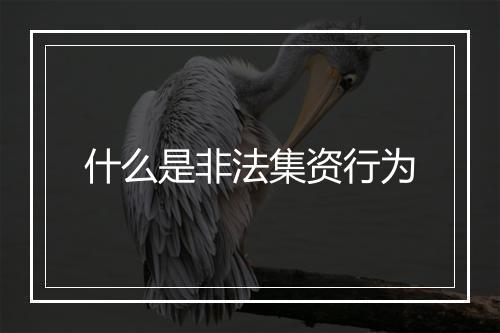 什么是非法集资行为