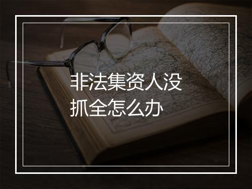 非法集资人没抓全怎么办