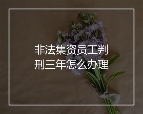 非法集资员工判刑三年怎么办理