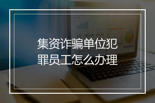 集资诈骗单位犯罪员工怎么办理