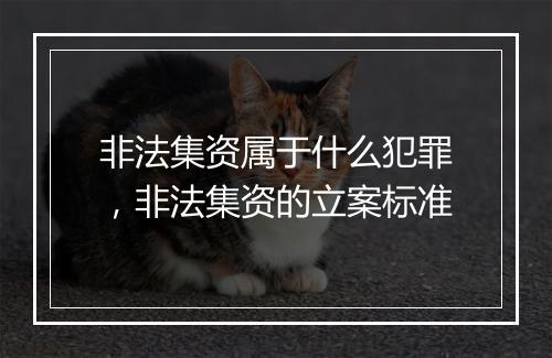 非法集资属于什么犯罪，非法集资的立案标准