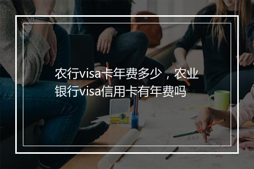 农行visa卡年费多少，农业银行visa信用卡有年费吗