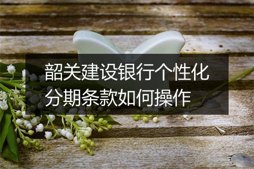 韶关建设银行个性化分期条款如何操作