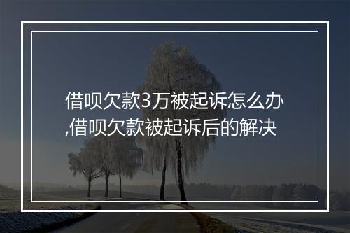 借呗欠款3万被起诉怎么办,借呗欠款被起诉后的解决