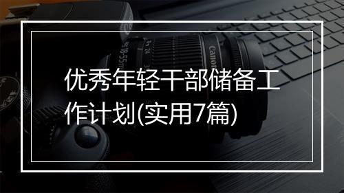优秀年轻干部储备工作计划(实用7篇)
