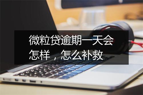 微粒贷逾期一天会怎样，怎么补救