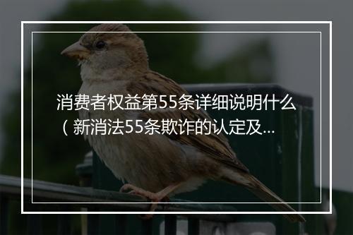 消费者权益第55条详细说明什么（新消法55条欺诈的认定及赔偿）