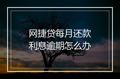 网捷贷每月还款利息逾期怎么办
