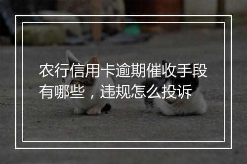 农行信用卡逾期催收手段有哪些，违规怎么投诉