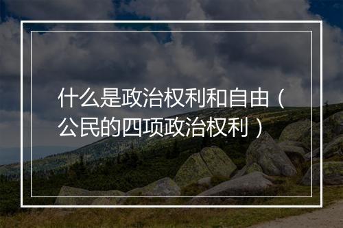 什么是政治权利和自由（公民的四项政治权利）