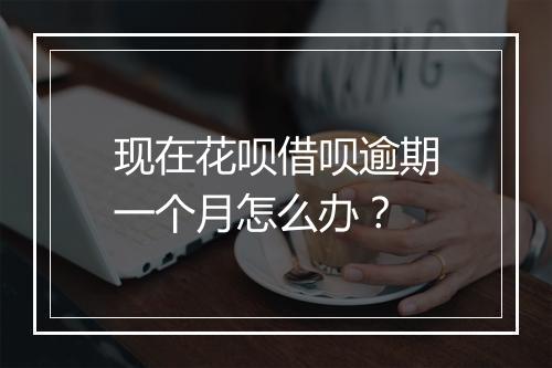 现在花呗借呗逾期一个月怎么办？