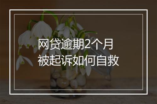 网贷逾期2个月被起诉如何自救