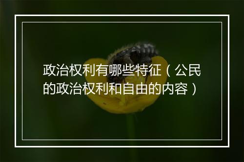 政治权利有哪些特征（公民的政治权利和自由的内容）