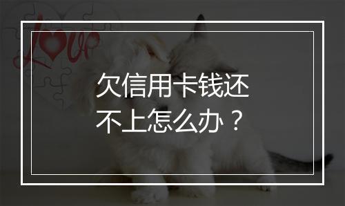 欠信用卡钱还不上怎么办？