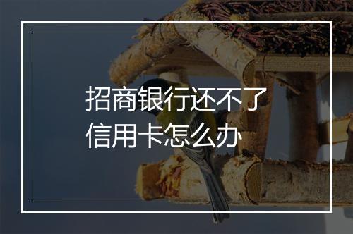 招商银行还不了信用卡怎么办