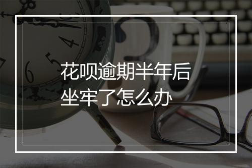 花呗逾期半年后坐牢了怎么办