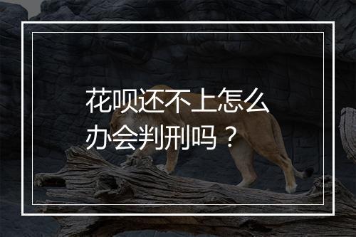 花呗还不上怎么办会判刑吗？