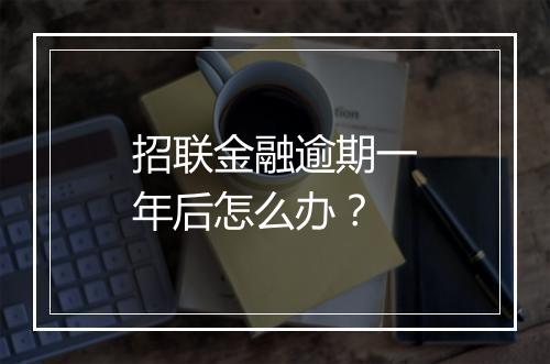 招联金融逾期一年后怎么办？