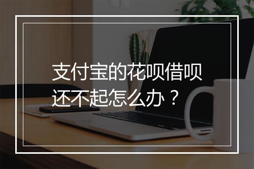 支付宝的花呗借呗还不起怎么办？