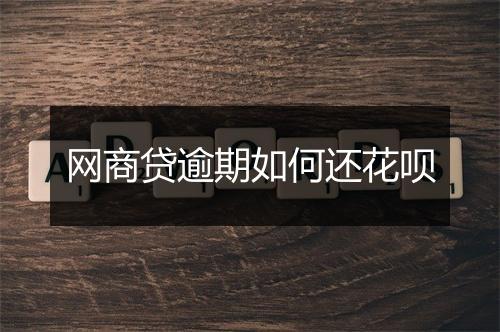 网商贷逾期如何还花呗