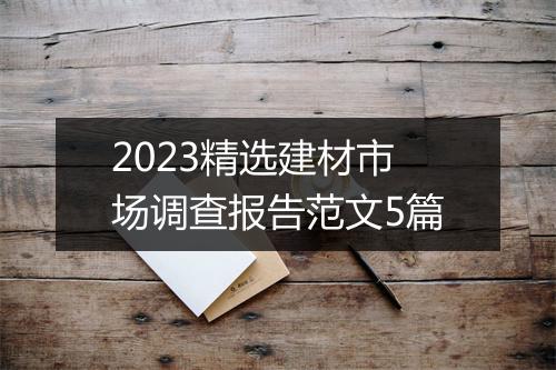 2023精选建材市场调查报告范文5篇