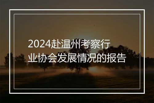 2024赴温州考察行业协会发展情况的报告