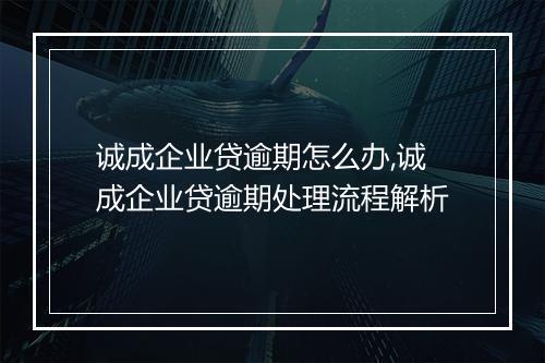 诚成企业贷逾期怎么办,诚成企业贷逾期处理流程解析