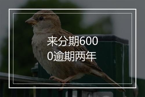 来分期6000逾期两年