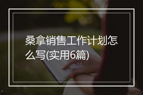 桑拿销售工作计划怎么写(实用6篇)