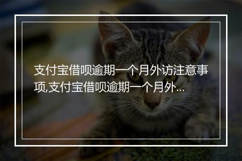支付宝借呗逾期一个月外访注意事项,支付宝借呗逾期一个月外访流程详解