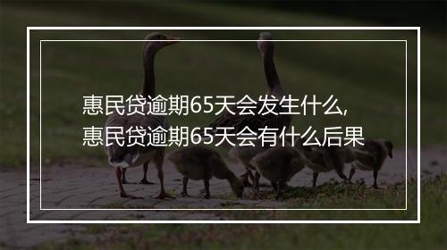 惠民贷逾期65天会发生什么,惠民贷逾期65天会有什么后果