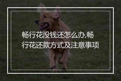 畅行花没钱还怎么办,畅行花还款方式及注意事项