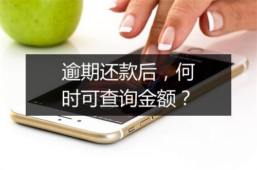 逾期还款后，何时可查询金额？