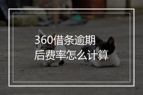360借条逾期后费率怎么计算