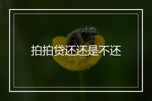 拍拍贷还还是不还