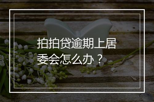 拍拍贷逾期上居委会怎么办？