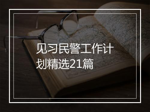 见习民警工作计划精选21篇
