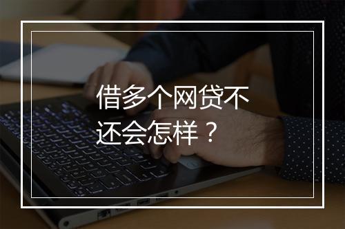 借多个网贷不还会怎样？