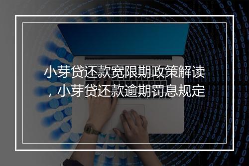 小芽贷还款宽限期政策解读，小芽贷还款逾期罚息规定