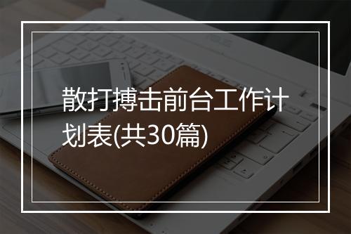 散打搏击前台工作计划表(共30篇)
