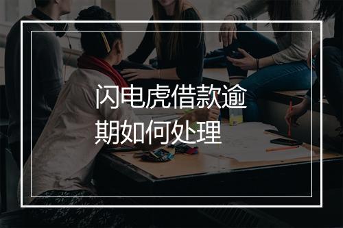 闪电虎借款逾期如何处理