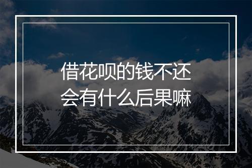 借花呗的钱不还会有什么后果嘛