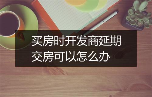 买房时开发商延期交房可以怎么办