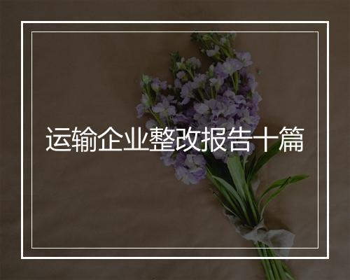 运输企业整改报告十篇