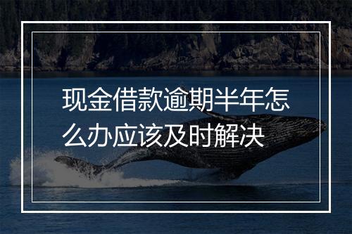 现金借款逾期半年怎么办应该及时解决