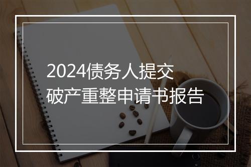 2024债务人提交破产重整申请书报告