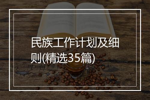 民族工作计划及细则(精选35篇)
