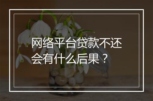 网络平台贷款不还会有什么后果？